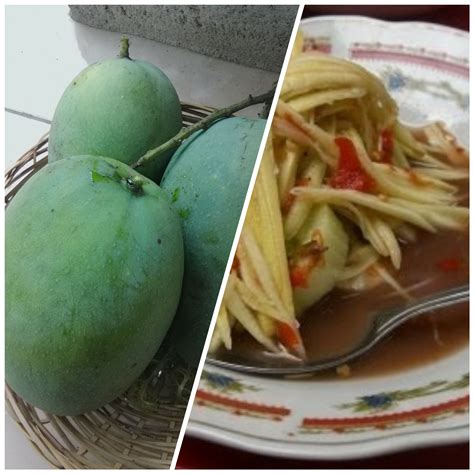 Do you eat unripe mango? / myLot