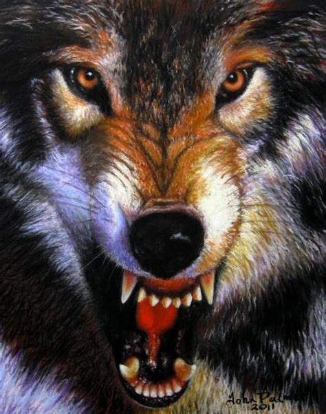 16 best Wolf Reference images on Pinterest | Wolves, Snarling wolf and Wolf