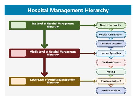 Hospital Management Hierarchy Edrawmax Templates