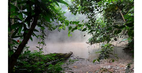 Mudspring - An ASEAN Heritage Park