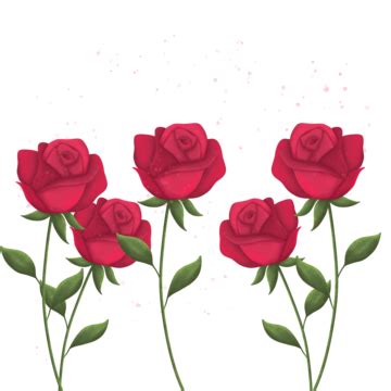 Transparent Red Rose PNG Transparent Images Free Download | Vector ...