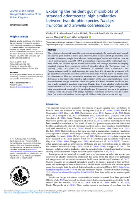 (PDF) Exploring the resident gut microbiota of stranded odontocetes ...