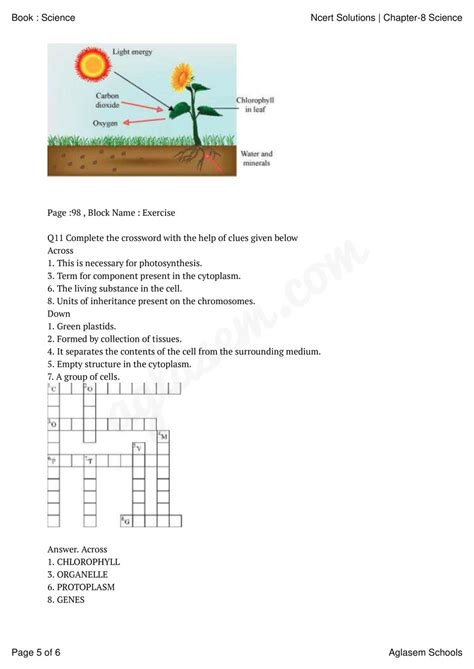 NCERT Solutions Class 8 Science Chapter 8 Cell Structure And Functions