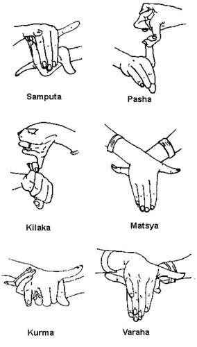 samayukta hastas  double hand gestures  bharatanatyam