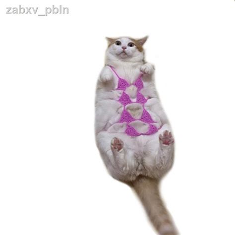 8 Hot Sexy KITTENS Bikini Pics