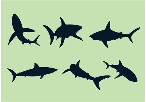 Shark Silhouette Vector Art, Icons, and Graphics for Free Download