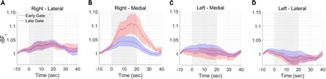 Frontiers Functional Time Domain Diffuse Correlation Spectroscopy