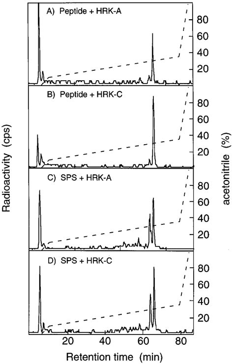 Reversed Phase Hplc Analysis Of 32 P Labeled Tryptic Peptides Derived