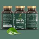 Vitactiv Ginkgo Ginseng B St Shop Apotheke