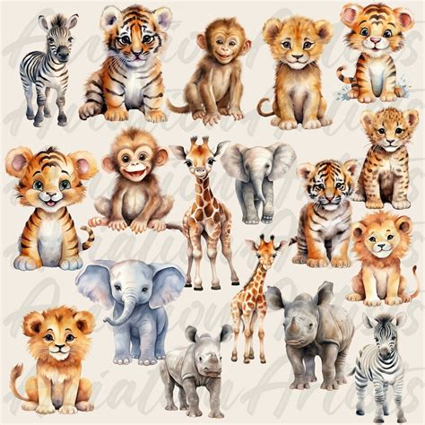 Safari Tiere Clipart Aquarell Dschungel Safari Png Baby Safari Tiere