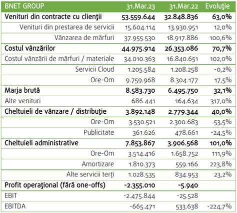 Bittnet Group A Terminat Primul Trimestru Cu Venituri Consolidate N