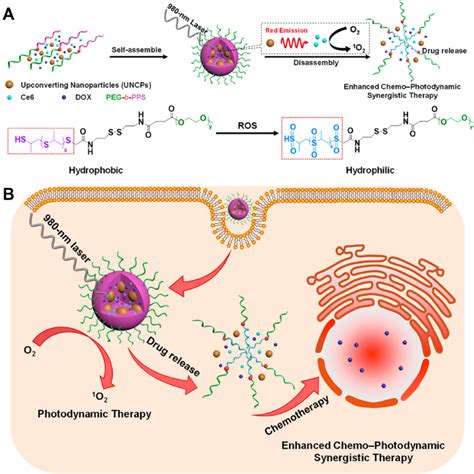 A Synthesis Of DOX Loaded Micelles And Their Disassembly Upon