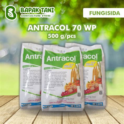 Jual Fungisida Antracol 70 WP 500 G Shopee Indonesia