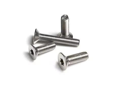 Pan Head Torx Stainless Steel Machine Screw Ss Bolt Custom Ss