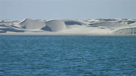 Dunes Gurun Baja California Sur Foto Gratis Di Pixabay