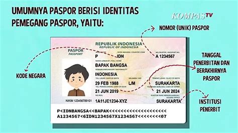 Mengenal Jenis Jenis Paspor Yang Berlaku Di Indonesia Apa Saja