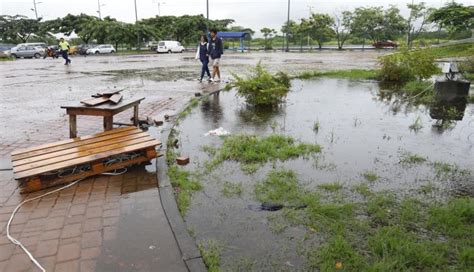 Parque Samanes entre la destrucción y el olvido