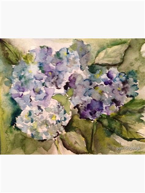 Endless Summer Blue Hydrangeas Sticker For Sale By Paintingsbyk