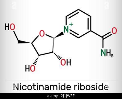 Vitamin B3 Nicotinamide Riboside Molecular Structure Vitamin B3 Niacin