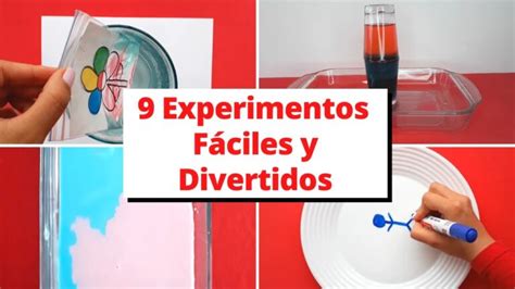 Descubre Los Experimentos M S Divertidos Para Ni Os De A A Os