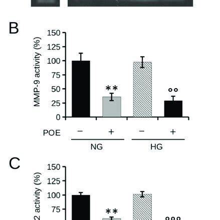 Effect Of POE On The Activity Of MMP 2 9 Released In Culture Medium