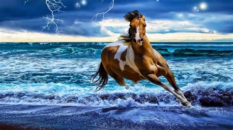 Water Horse Wallpaper