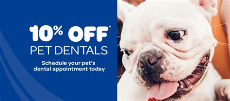 Pet Dental Care Chisholm Trail Veterinary Clinic Of New Braunfels