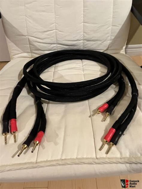 Perkune Reference Speaker Cables With Nexgen Bananas M Pair For Sale