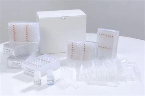 Gdsbio High Pure Viral Nucleic Acid Isolation Kit Spin Column Viral Dna