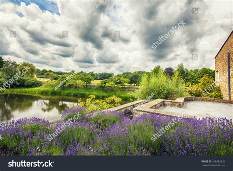 4,351 Kent garden Images, Stock Photos & Vectors | Shutterstock