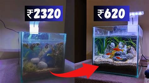 Super Simple Fish Tank Setup Within ₹650 Pocket Friendly Tank