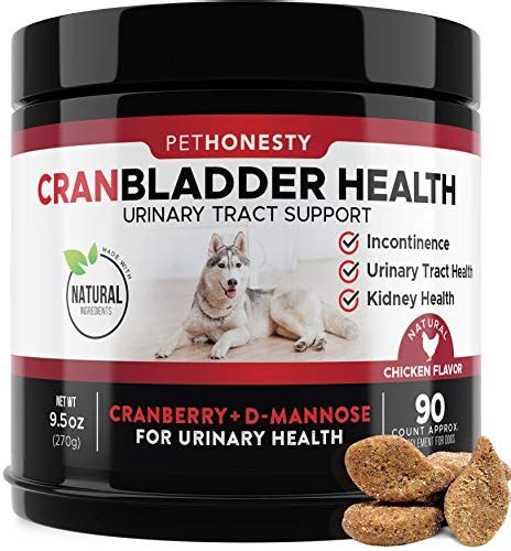 Best Dog UTI Treatments in 2020 - Top Products Rated - Dog Urinary ...