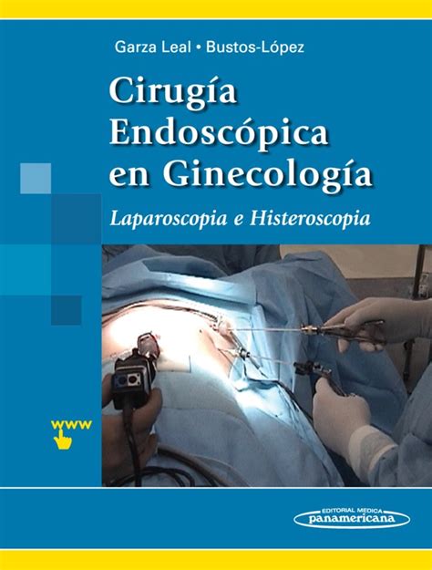 Cirug A Endosc Pica En Ginecolog A Laparoscopia E Histeroscopia