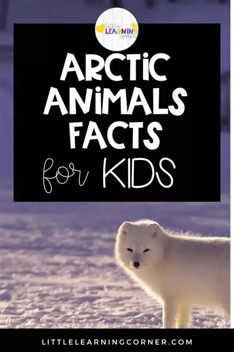 101 Fun Arctic Animals Facts For Kids Animal Facts For Kids Arctic