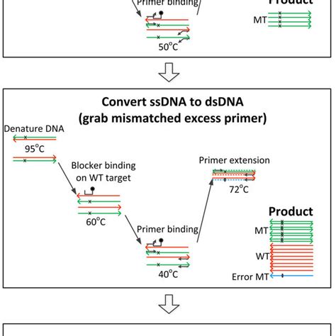 A Schematic Description Of Including A Mismatched Excess Primer With