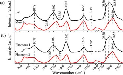 A Raman Spectra Of The Pork Fat Tissue And Pork Muscle Tissue That