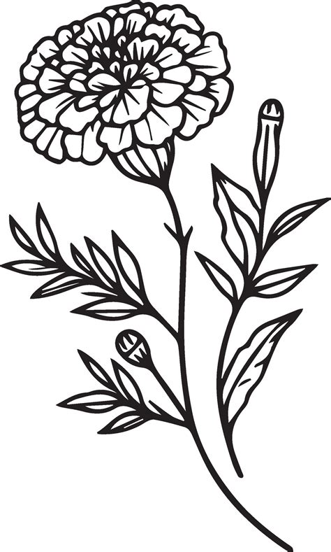 Minimalist Marigold Tattoo In Black And White Mexican Marigold Tattoo