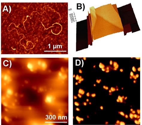 Atomic Force Microscopy (AFM) - Surface Science Western