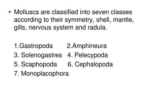 PPT - CLASSIFICATION OF MOLLUSCA PowerPoint Presentation, free download - ID:4598533