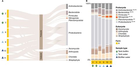 Shotgun Metagenomics Data For Phyla With At Least 05 Or More Of The Download Scientific