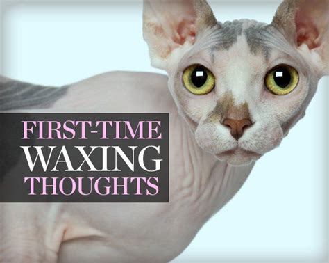 Very Real Thoughts Every Woman Has During Her First Bikini Wax Artofit