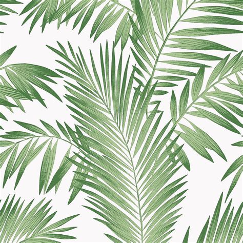 Tropical Palm Green Palm Leaves Aesthetic Background Aesthetic Palm