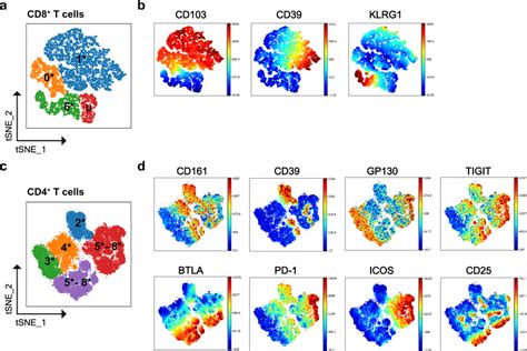 Identification Of Iel Cd T Cell And Cd T Cell Subsets By Flow