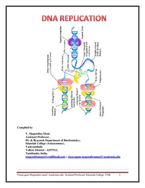 Pdf Dna Replication Enzymes Proteins Inhibitors