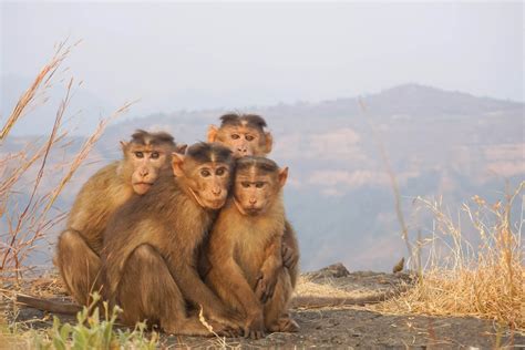 matheran india kerala connections