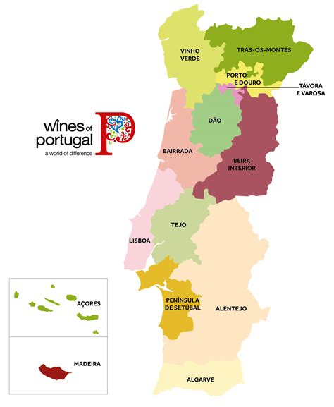 Vinos Portugueses A Shared Passion