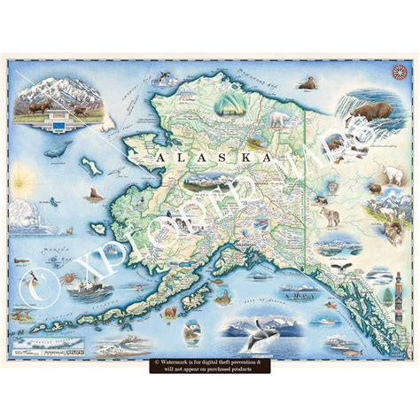 Alaska's Inside Passage Hand-Drawn Map - Xplorer Maps - 18"x24"