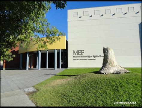 Museo Paleontológico Egidio Feruglio Trelew Argentina Museos