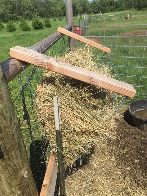 Diy Hay Feeder Homesteaddad