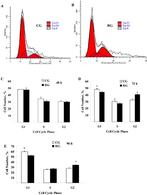 Analysis Of Cell Cycle Distribution A B The Cell Cycle Was